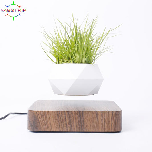 Elevate Your Home Decor with Levitating Air Bonsai Pot